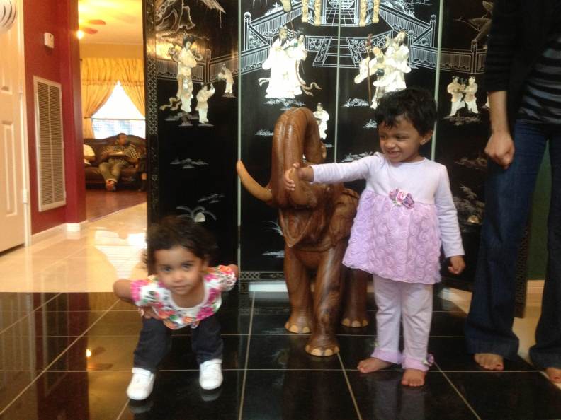 Abby, Layla and the elephant!