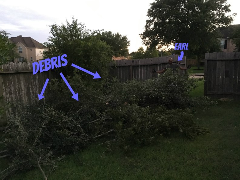 debris